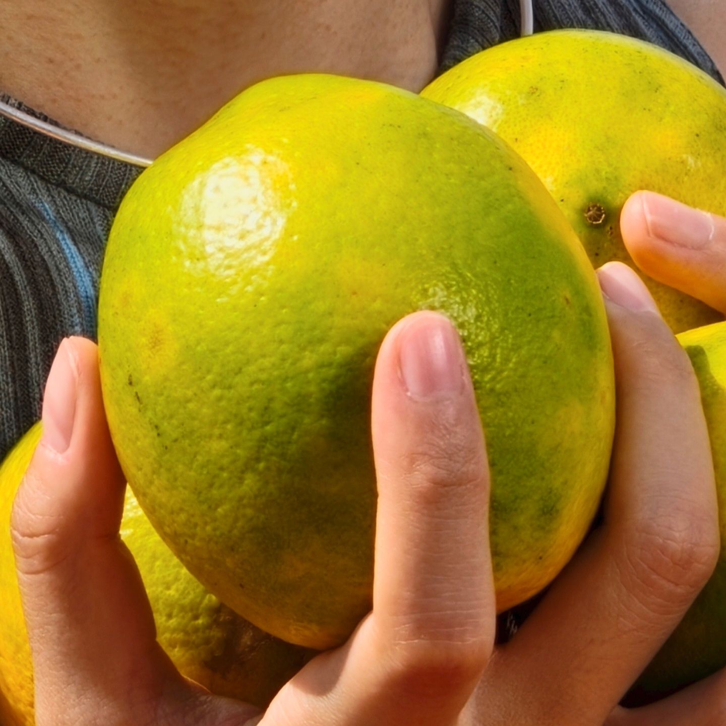 Realme GT8 Pro Telephoto samples